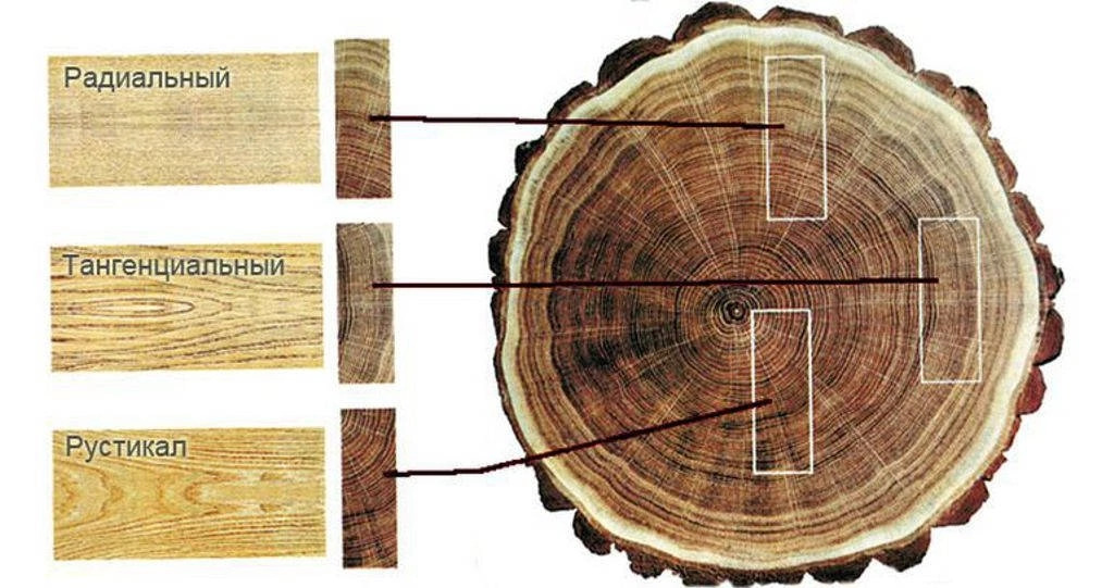 Рисунок шпона радиальный